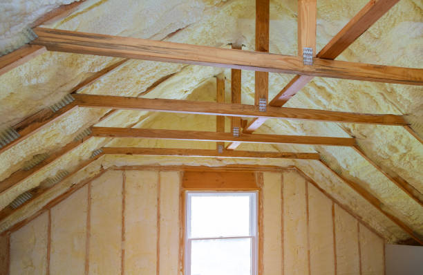 Best Specialty Insulation in Bloomingdale, TN